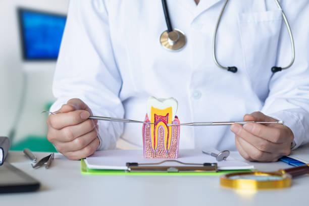 Best Emergency Gum Treatment in Amherst, TX